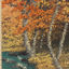 Cover fall.