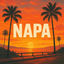 Cover N.A.P.A