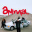 Cover Animal