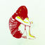 Cover Human Beings