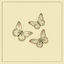 Cover butterfly waltz