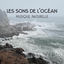 Cover Les sons de l'océan - Musique naturelle pour se détendre, Raisons pour se méditation, Trouvez votre chemin