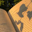 Cover Joy in the Little Things