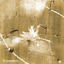 Cover Thorn