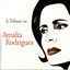 Cover A Tribute To Amalia Rodrigues