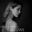 Cover Gallows
