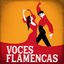 Cover Voces Flamencas