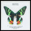 Cover The Butterfly Effect (Double A.B. Remix)