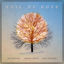 Cover Veil of Hope