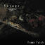 Cover Voyage
