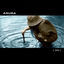 Cover 360