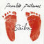 Cover Saiba