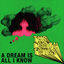 Cover A Dream Is All I Know