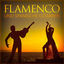 Cover Flamenco und spanische Gitarren