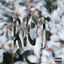 Cover RIOT (Rowdy Pipe'n)