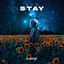 Cover Stay