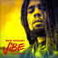 Cover Vibe