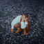 Cover Magnolia Rain