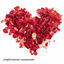 Cover Completamente Enamorados