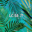Cover Lose It