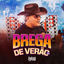 Cover Brega de Verão 2.0