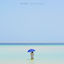 Cover one summer