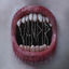 Cover VAMPIR