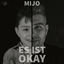 Cover Es ist Okay