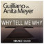 Cover Why Tell Me Why