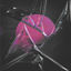 Cover Believe