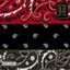 Cover RBG: revolutionary but gangsta