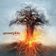 Cover Skyforger