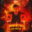 Cover Sound Of Fury