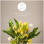 Cover I Belong Here