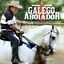 Cover Galego Aboiador, Vol. 11