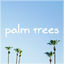 Cover Palm Trees
