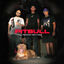 Cover Pitbull