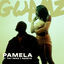 Cover PAMELA