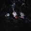 Cover Rotten