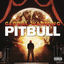 Cover Global Warming (Deluxe Version)