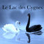 Cover Le Lac des Cygnes: Belle Musique pour Danse Classique et Contemporaine, Musique de Piano pour Danse à la Barre et Ballet