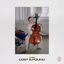 Cover Lost & Found