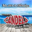 Cover Me Vas a Extrañar