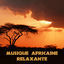 Cover Musique africaine relaxante: Sons traditionnels, La nature sauvage, Tambours de guérison