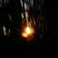 Cover Modulations