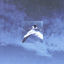 Cover Blue Desert