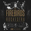 Cover The Firebirds Rockestra (Live in Berlin)