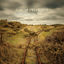 Cover The Road Not Taken