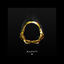 Cover Majesty (feat. Stefano F)