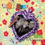 Cover Brutal Romance